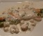 Roulades de saumon fumé aux asperges et crevettes roses
