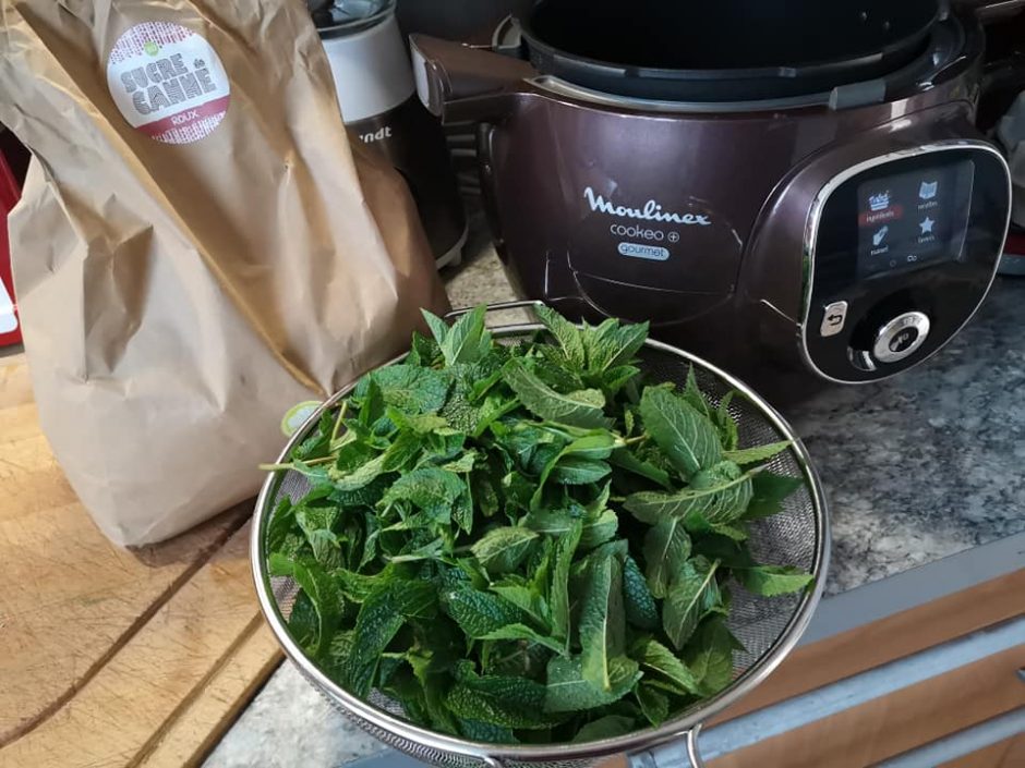 Sirop de menthe | Recettes Cookeo